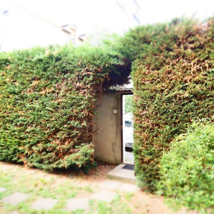 Maison Faure - Centre Ville - Jardin - Garage 비시 외부 사진